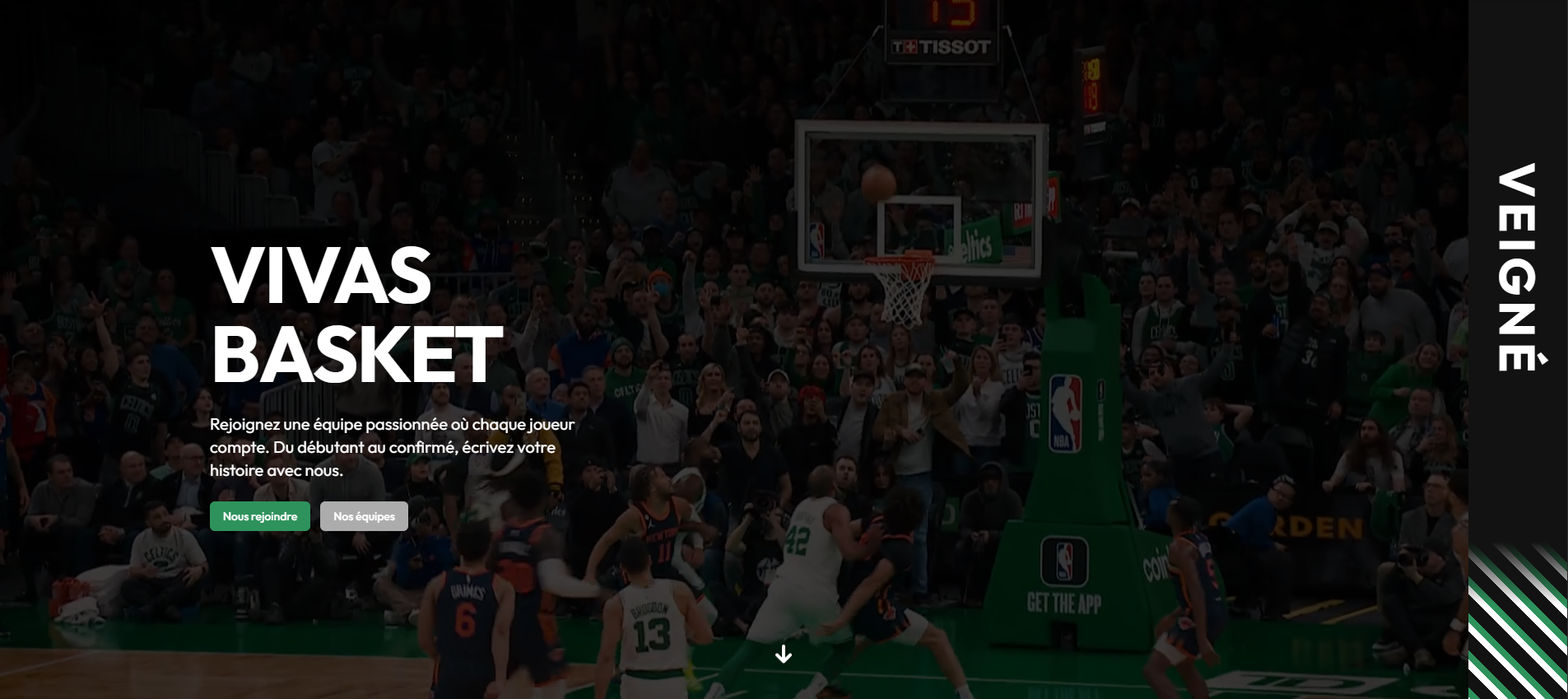VivasBasket Platform